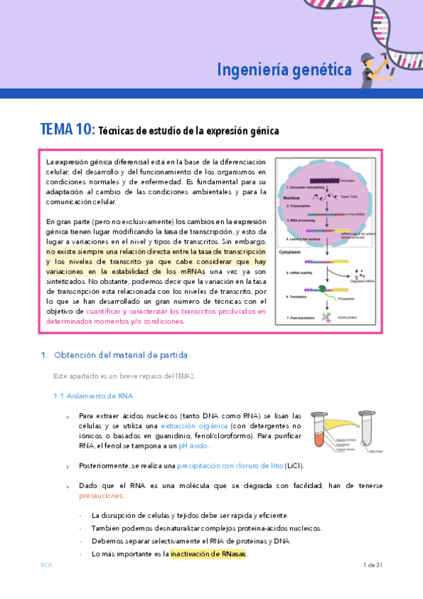 Miniatura del documento Ingenieria-genetica-TEMA-10.pdf