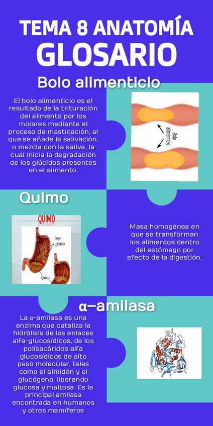 Miniatura del documento glosario-tema-8.pdf