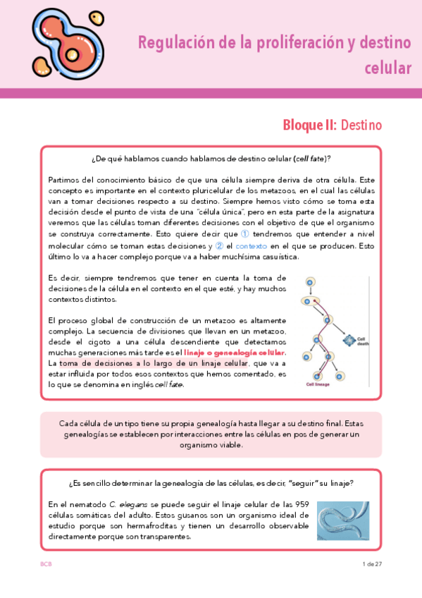 Miniatura del documento DESTINO-TEMA-8.pdf