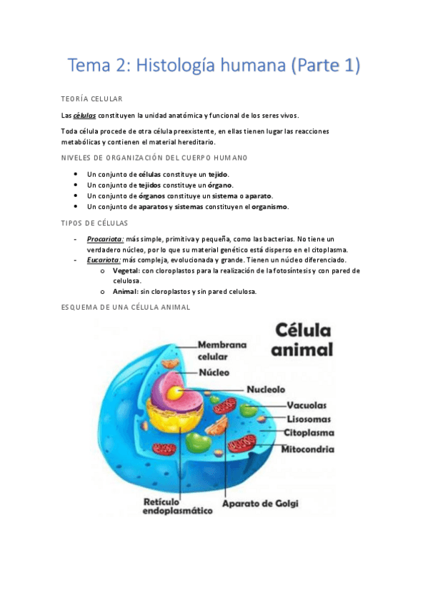 Miniatura del documento Tema 2 (Parte 1).pdf