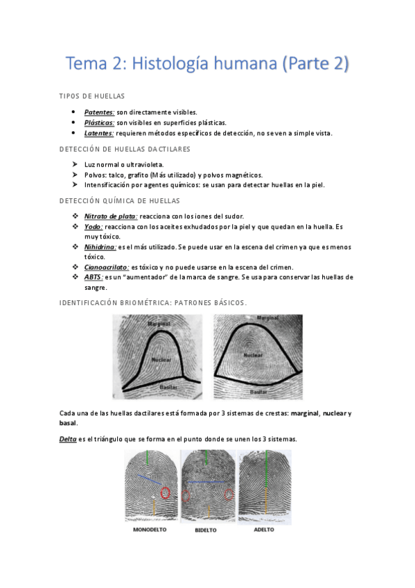 Miniatura del documento Tema 2 (Parte 2).pdf