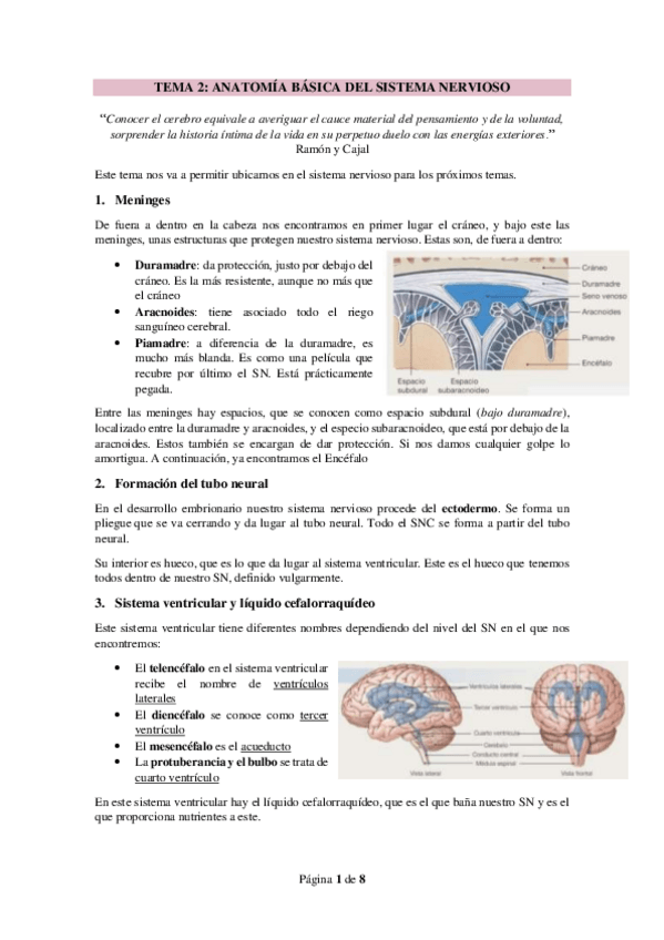 Miniatura del documento TEMA-2.pdf