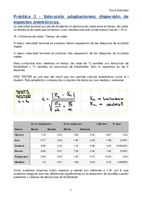 Miniatura del documento Practica-3-Avances.pdf