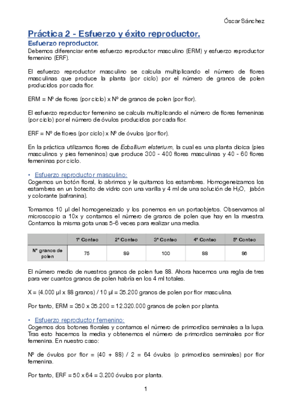 Miniatura del documento Practica-2-Avances.pdf