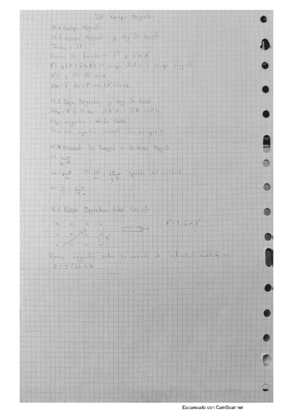 Miniatura del documento Fisica-2-Campo-Magnetico-e-Induccion.pdf