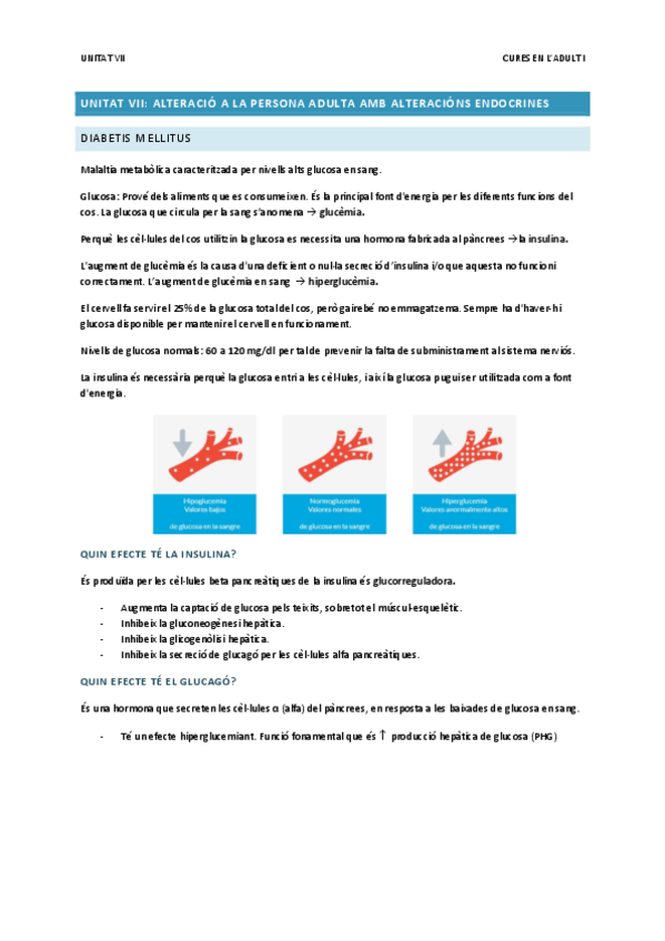 Miniatura del documento Unitat-7.pdf