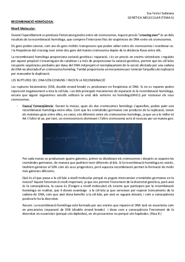 Miniatura del documento Tema-5-Recombinacio-Homologa.pdf