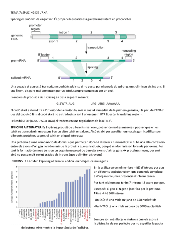 Miniatura del documento Tema-7-Splicing.pdf