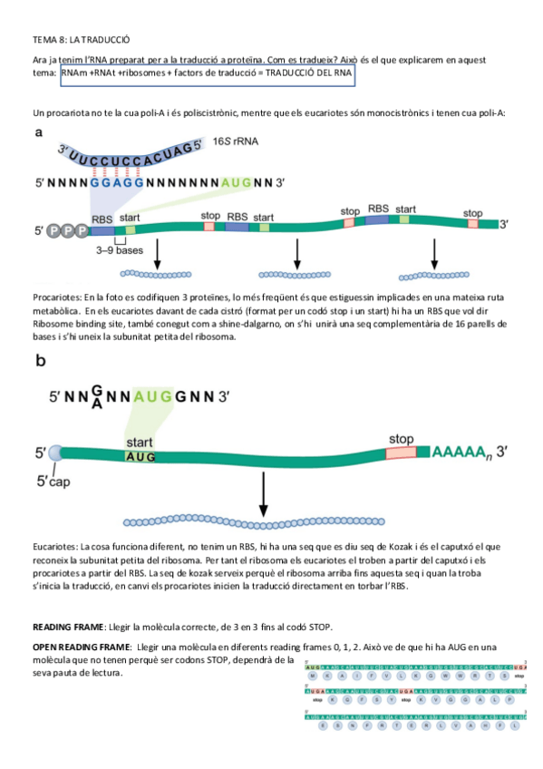 Miniatura del documento Tema-8-La-Traduccio.pdf