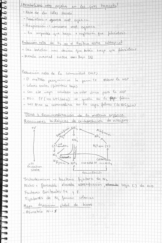 Miniatura del documento Tema-3-OB-II.pdf