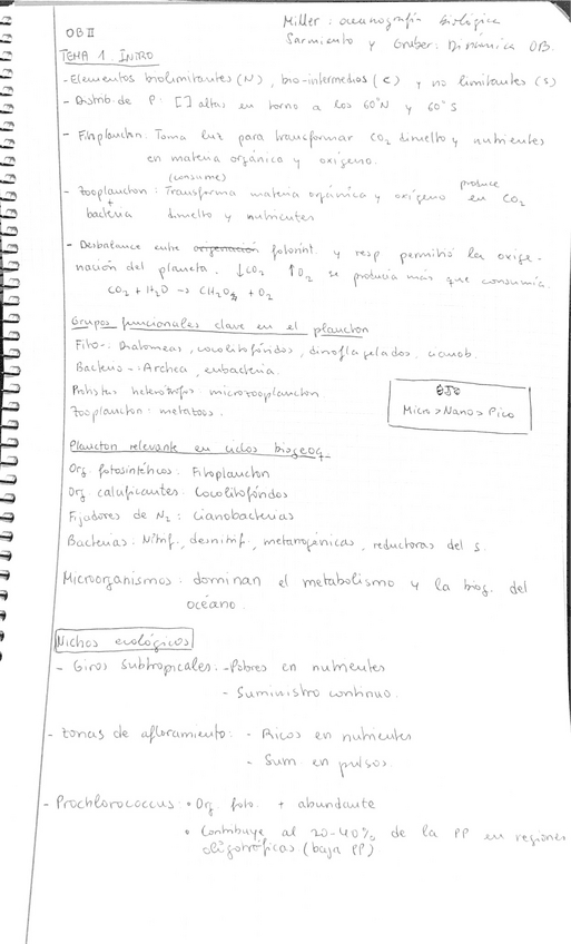 Miniatura del documento Apuntes-OBII-1.pdf