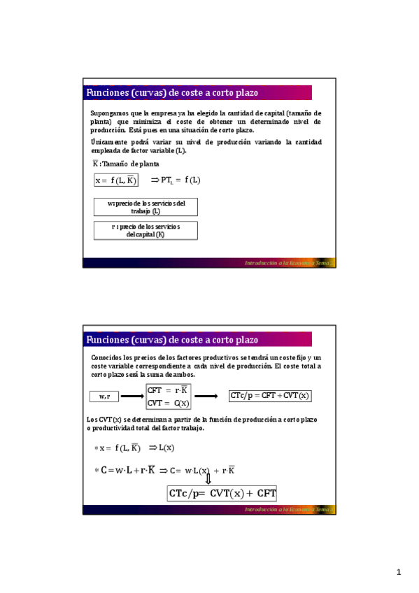 Miniatura del documento Costes-corto-plazo.pdf