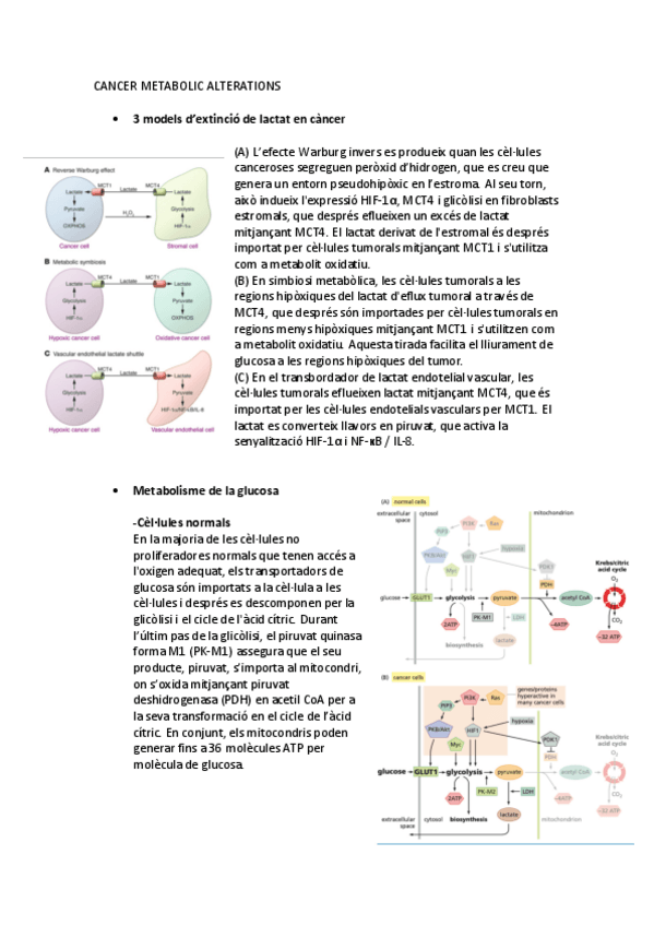 Miniatura del documento CANCER-METABOLIC-ALTERATIONS.pdf