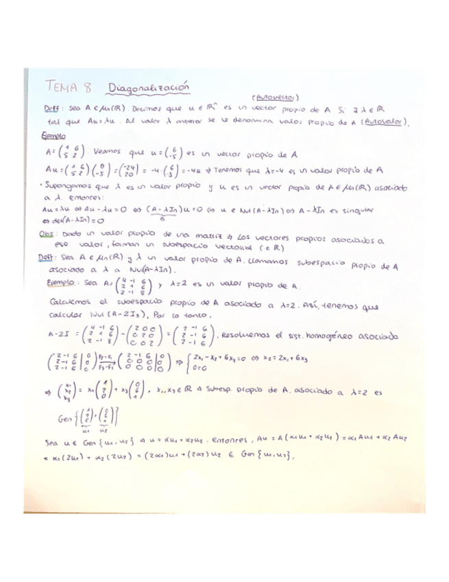 Miniatura del documento TEMA-8.pdf