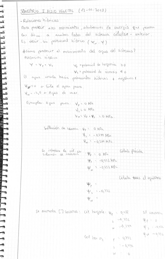 Miniatura del documento Seminario-I-Fisio-Vegetal.pdf
