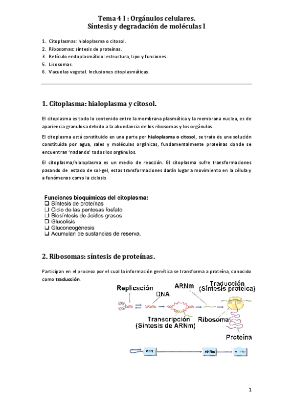 Miniatura del documento T4.pdf