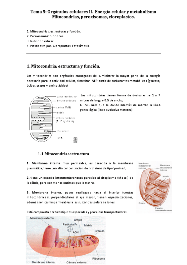 Miniatura del documento T5.pdf