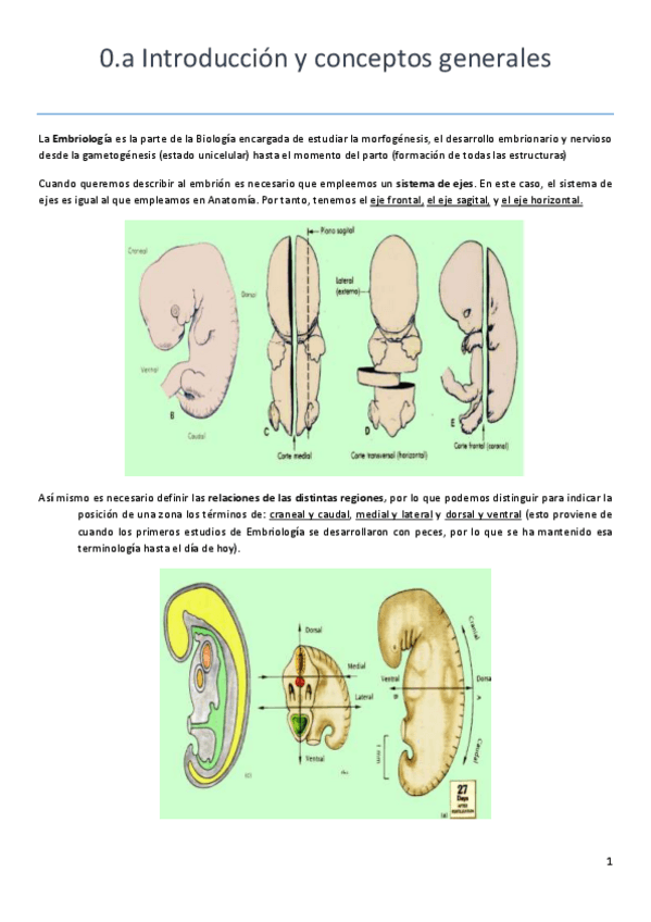 Miniatura del documento EMBRIOLOGIA-APUNTES.pdf