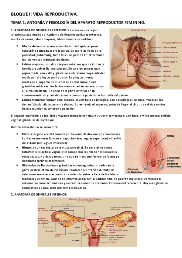 Miniatura del documento Bloque-I-tema-1.pdf
