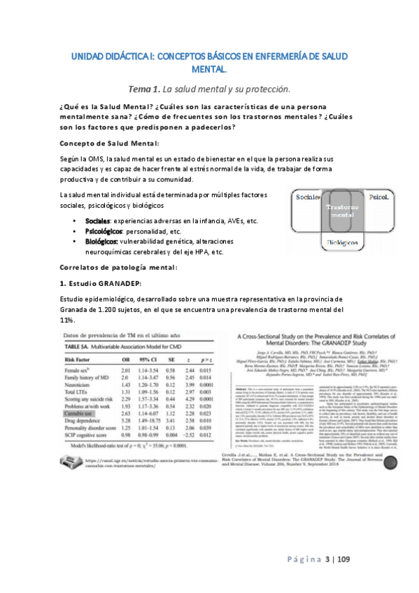 Miniatura del documento SALUD-MENTAL-COMPLETO.pdf