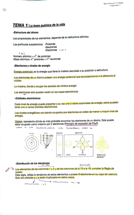 Miniatura del documento Tema-1-Bioquimica.pdf