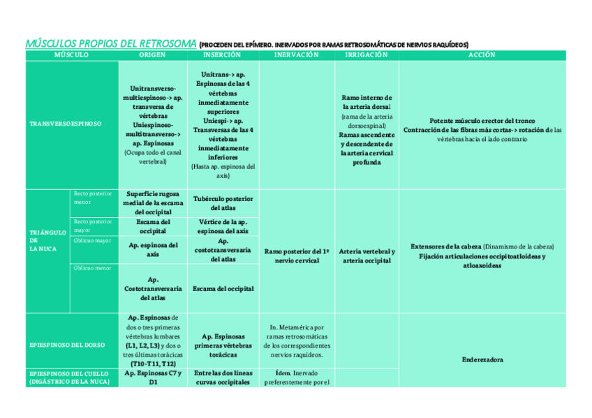 Miniatura del documento TABLA MÚSCULOS PROPIOS DEL RETROSOMA