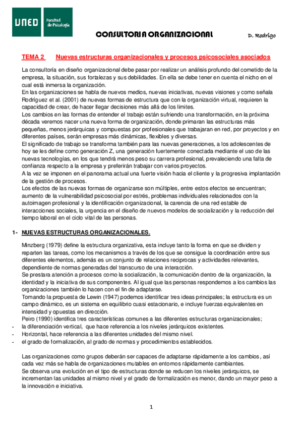Miniatura del documento CONSULTORIA-tema-2.pdf