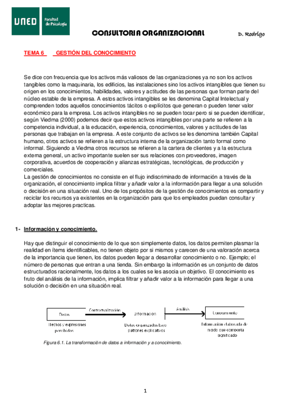Miniatura del documento CONSULTORIA-tema-6.pdf