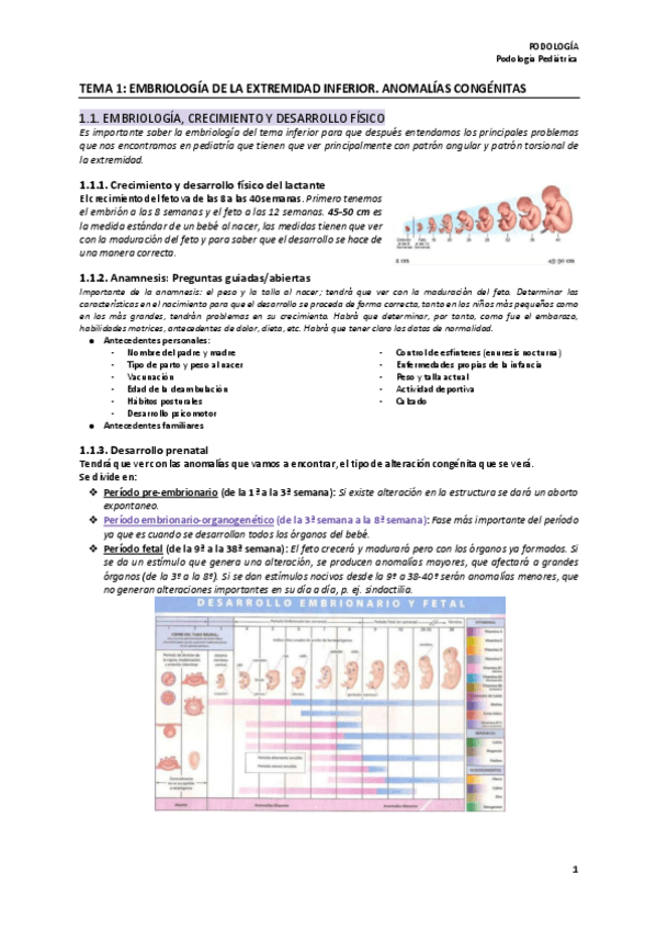 Miniatura del documento 1º Parcial Podología Pediátrica.pdf