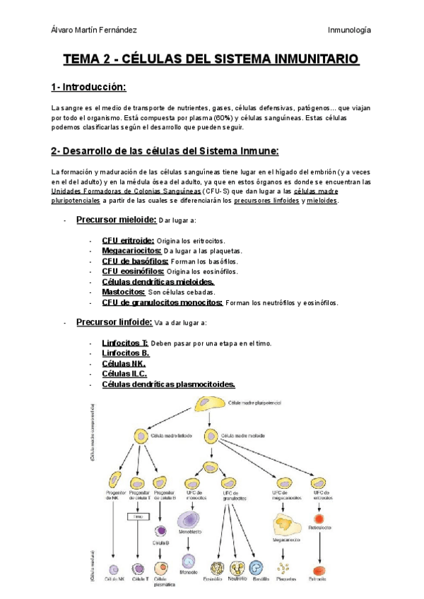 Miniatura del documento TEMA-2-CELULAS-DEL-SISTEMA-INMUNITARIO.pdf