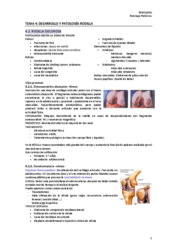 Miniatura del documento 3º Parcial Podología Pediátrica.pdf