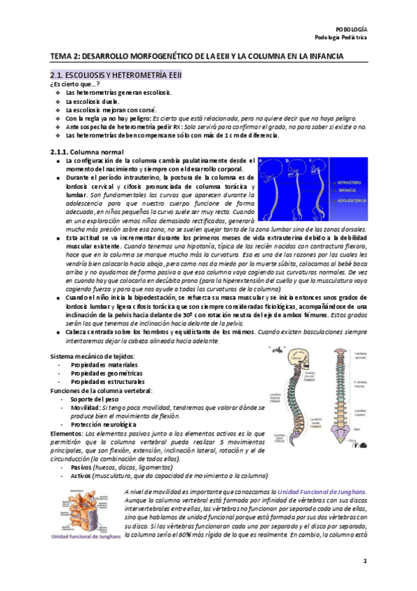 Miniatura del documento 2º Parcial Podología Pediátrica.pdf