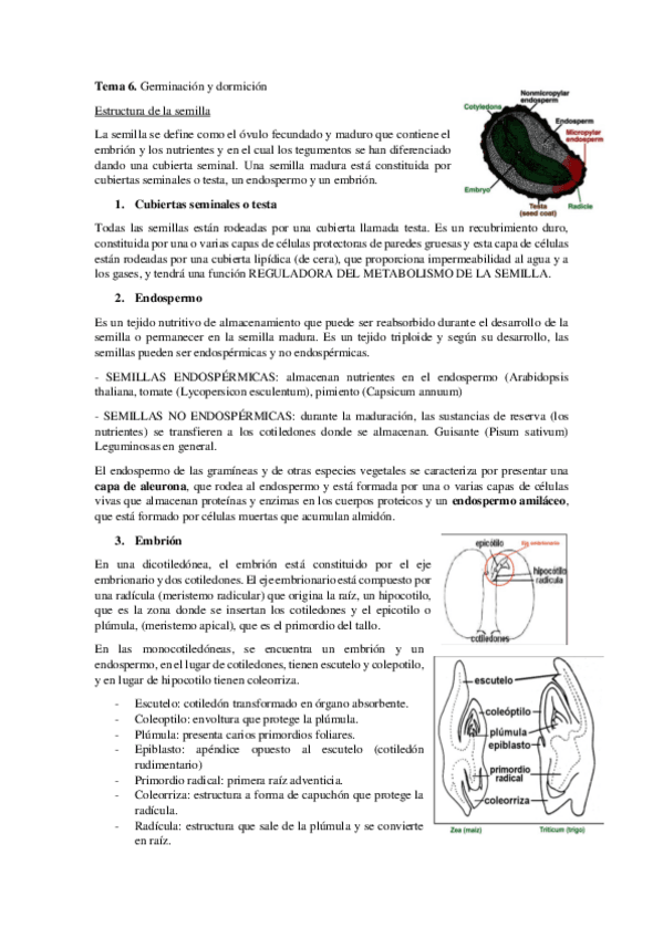 Miniatura del documento FISIOLOGIA-VEGETAL-TEMA-6-IMPRIMIR.pdf