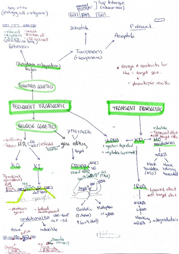 Miniatura del documento ESQUEMA-TRAMA-part-Cristian.pdf