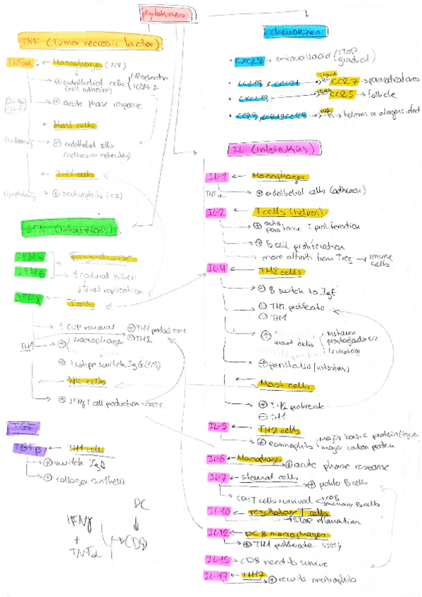 Miniatura del documento IMMUNO-CYTOKINES-.pdf