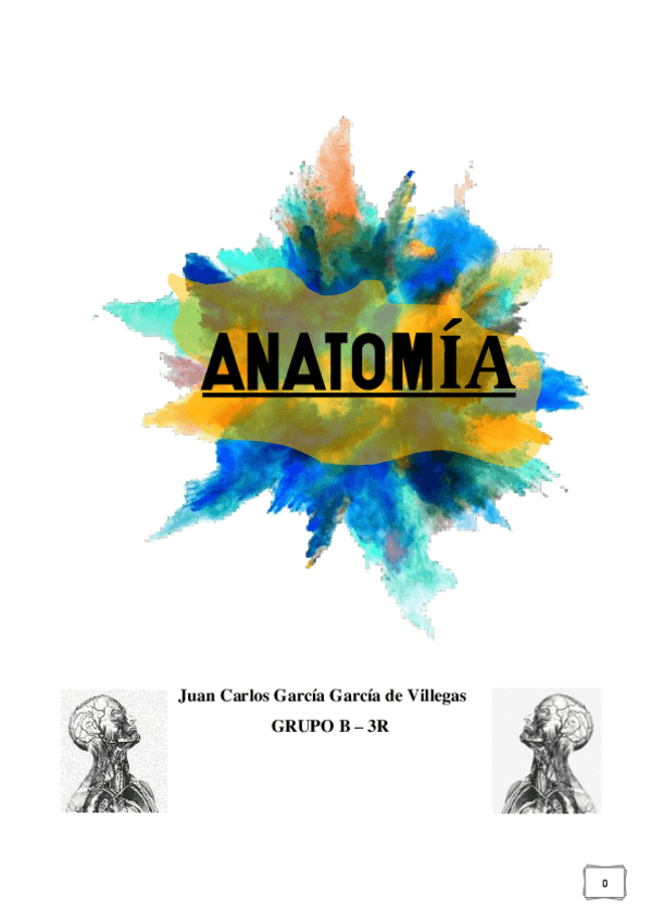 Miniatura del documento DOSSIER-ANATOMIA-JUAN-CARLOS-GARCIA-GARCIA-DE-VILLEGAS-GRUPO-B-3r.pdf