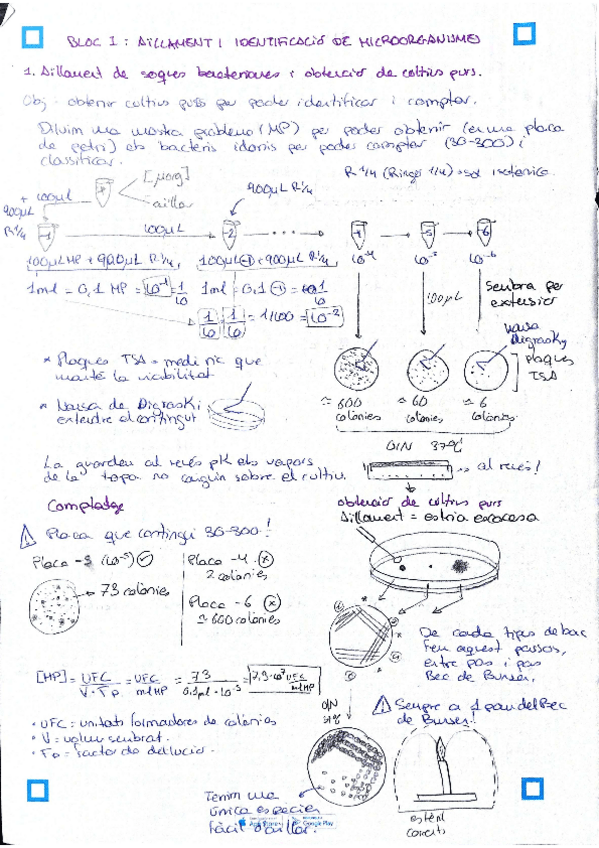 Miniatura del documento PRACTIQUES-MICRO.pdf