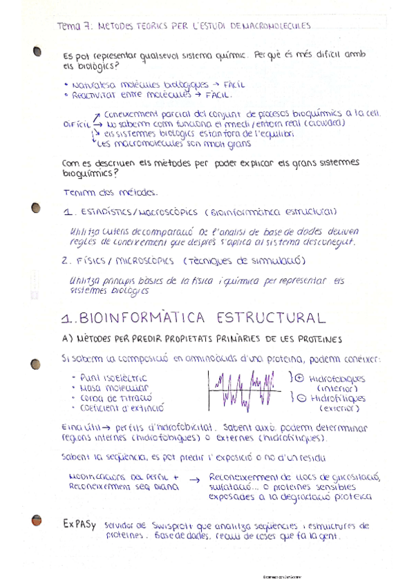 Miniatura del documento Modesto.pdf