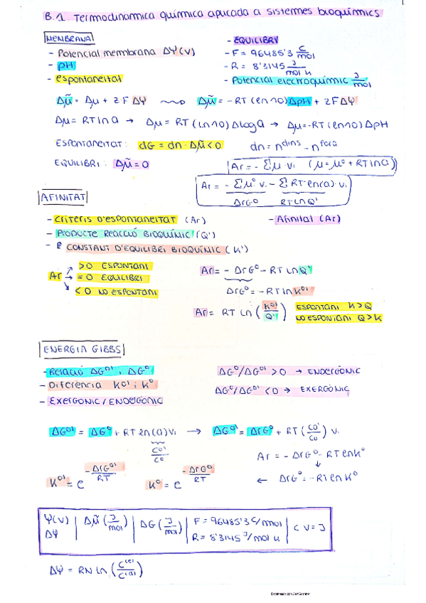 Miniatura del documento Resum-Bloc-1.pdf