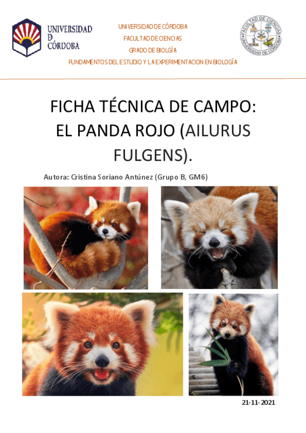 Miniatura del documento Ficha-tecnica-de-campo.pdf