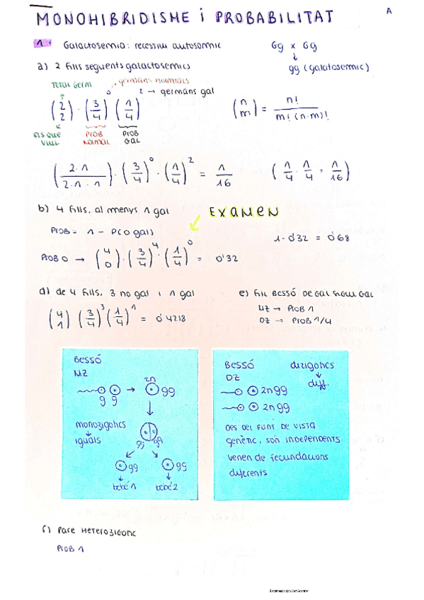 Miniatura del documento Todos-los-problemas-explicados.pdf