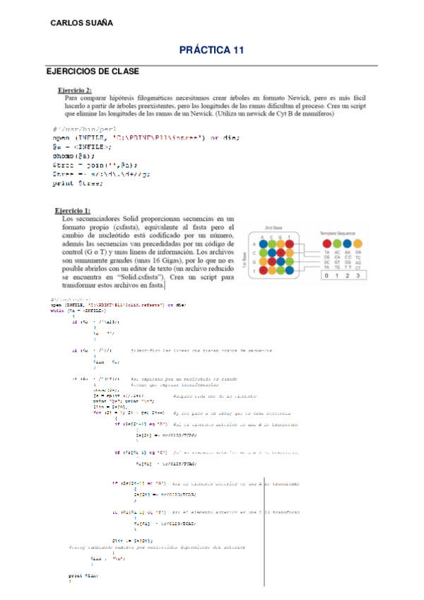 Miniatura del documento SUANARODRIGUEZCARLOSP11.pdf