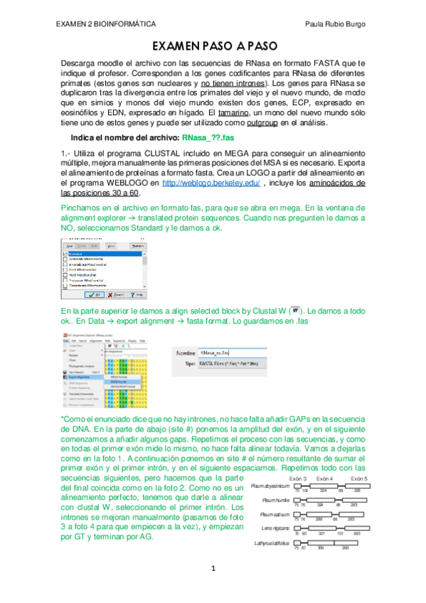 Miniatura del documento Examen-paso-a-paso.pdf