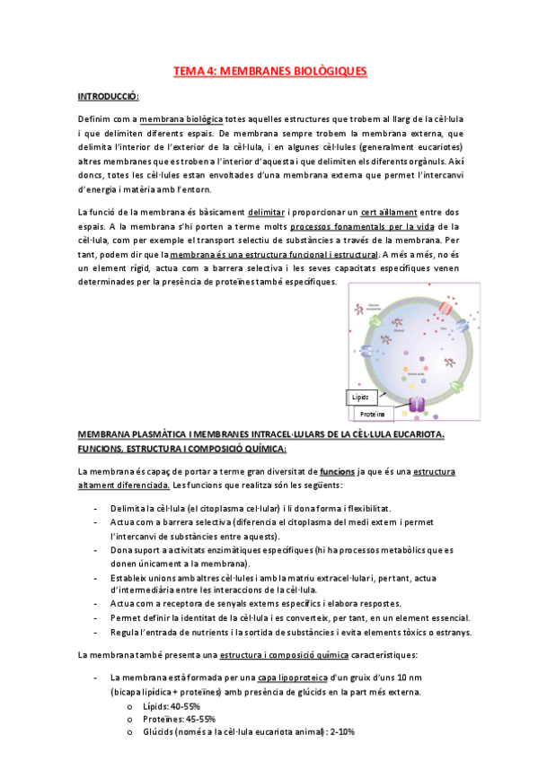 Miniatura del documento 4.pdf