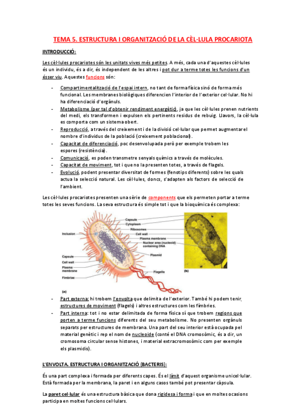 Miniatura del documento 5.pdf