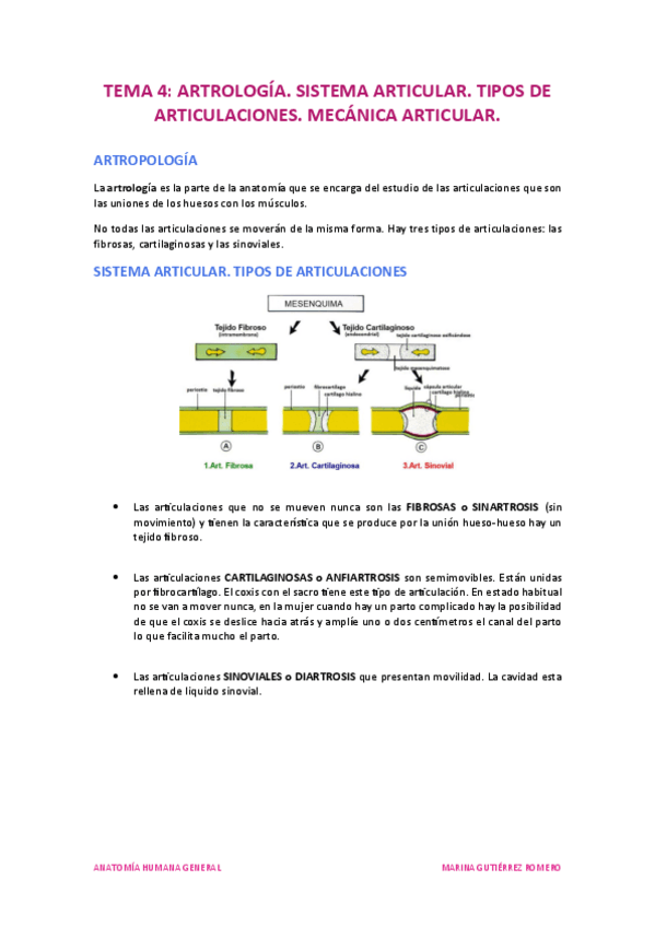 Miniatura del documento Tema 4.pdf