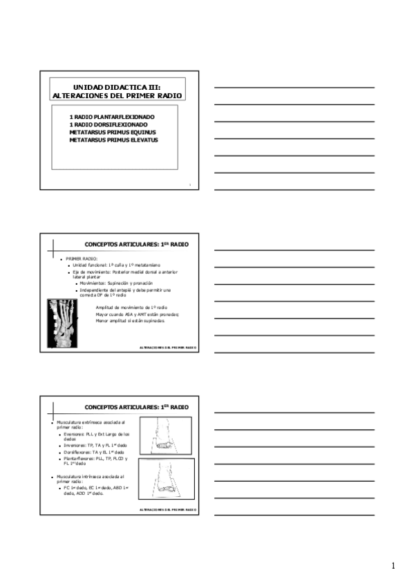 Miniatura del documento Alteraciones-del-primer.pdf