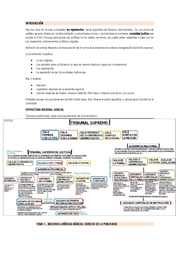 Miniatura del documento TEMA-1.pdf