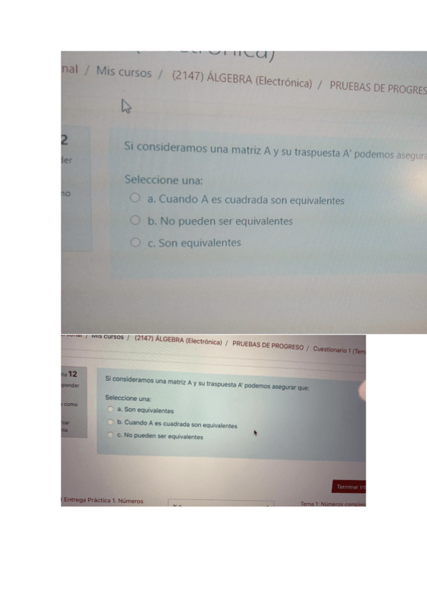 Miniatura del documento Cuestionario-tema-1-2-y-3.pdf