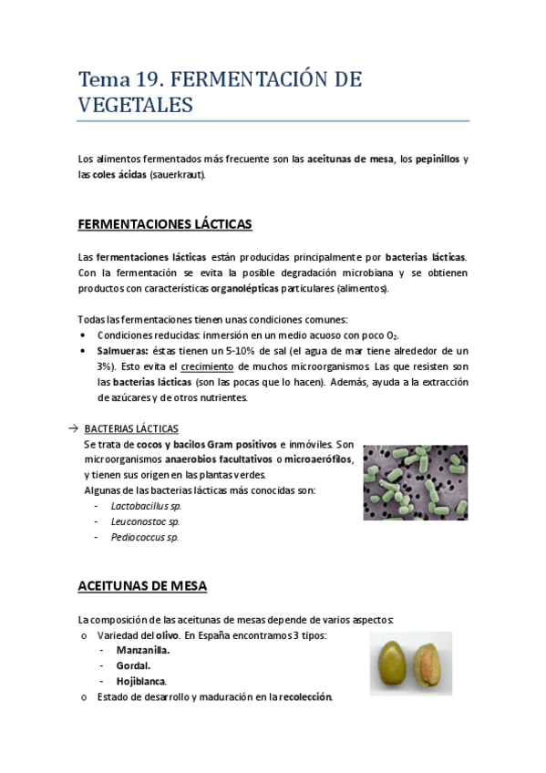 Miniatura del documento Tema 19. FERMENTACIÓN DE VEGETALES.pdf